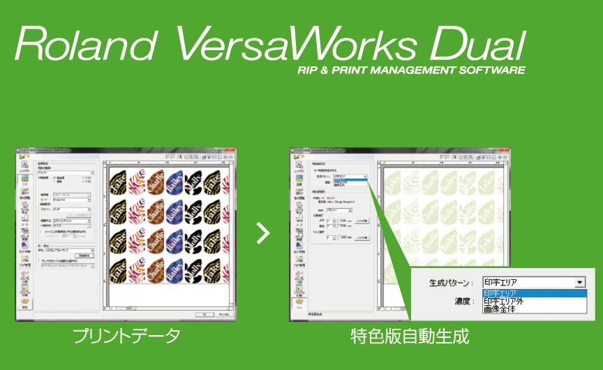 Roland VersaWorks Dual