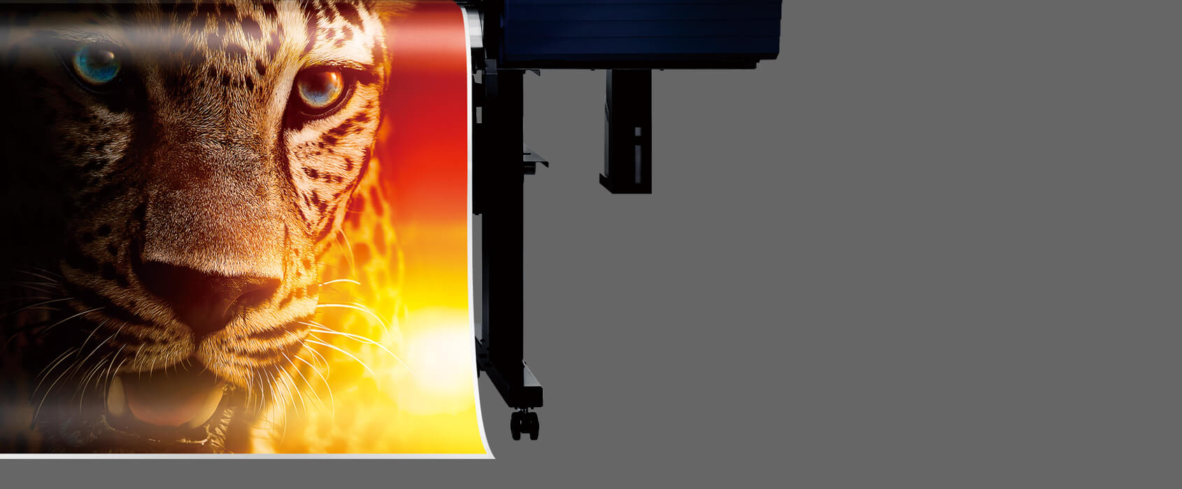 TrueVIS VG series
