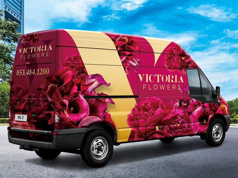 Vehicle Wraps and Graphics